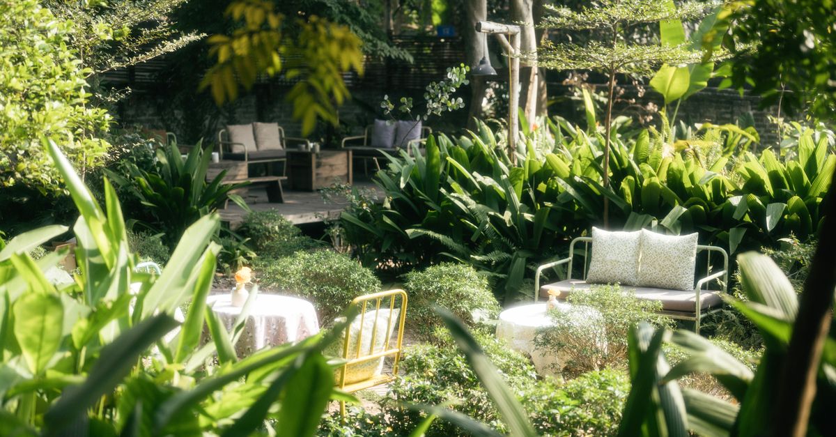 Guida alla Creazione di un Giardino Sostenibile e Resiliente