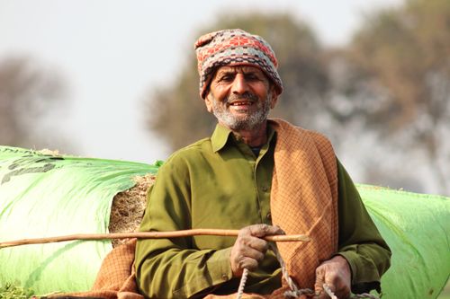 Free A cheerful South Asian farmer smiling while sitting on a haystack in Lahore, Pakistan. Stock Photo
