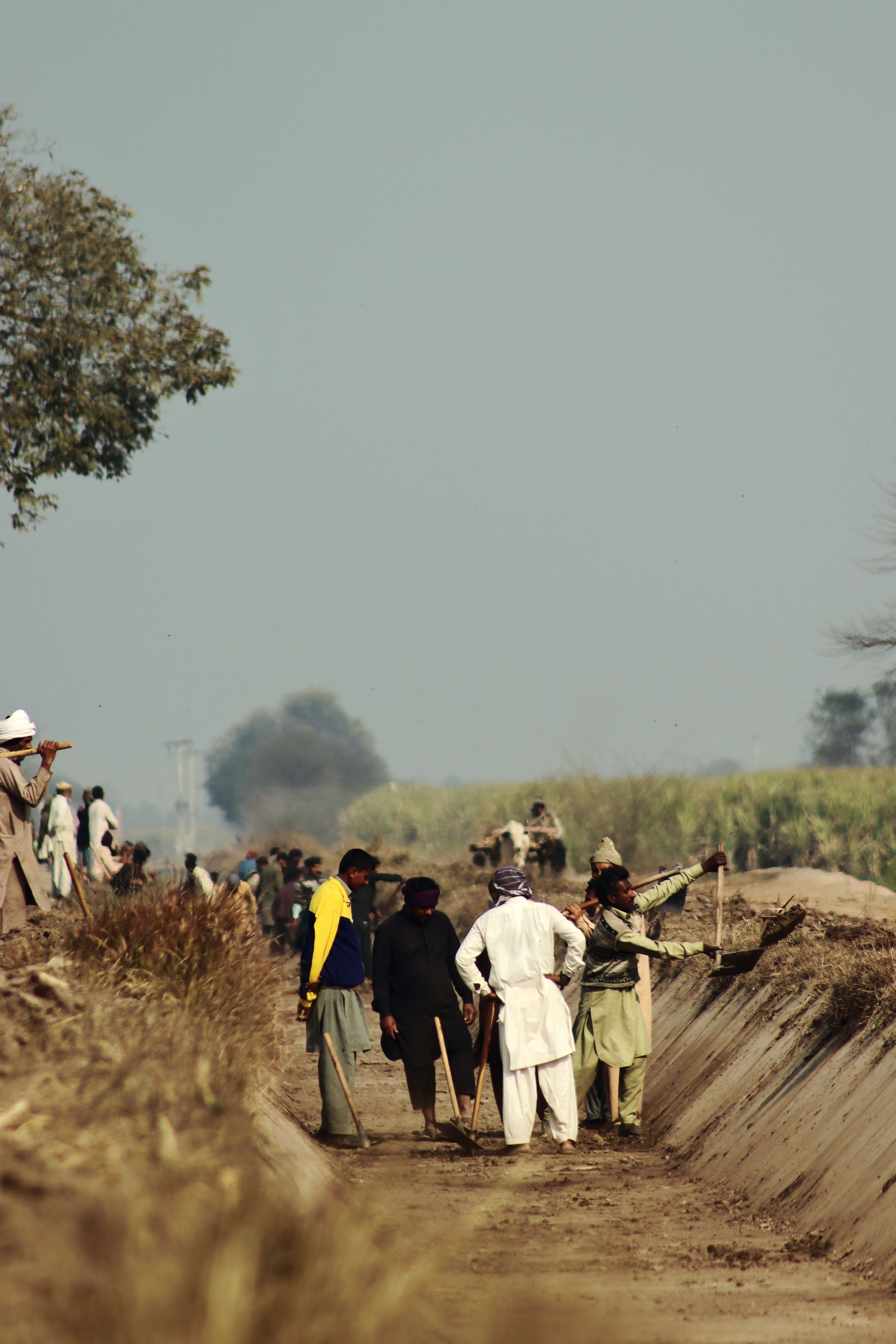 Farmers Working in Fields of Punjab, Pakistan · Free Stock Photo