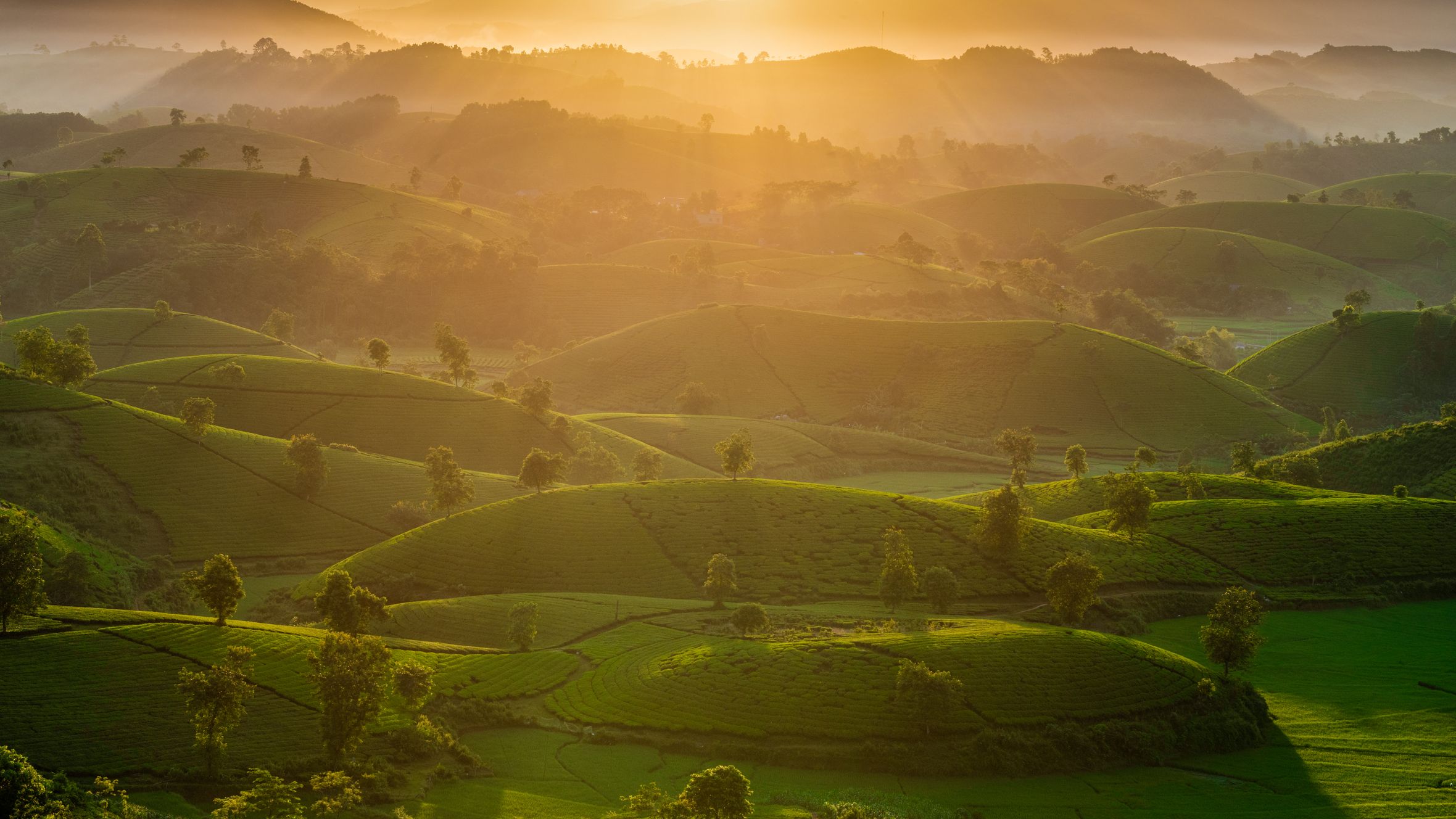 Scenic sunrise view of lush green hills in Phú Thọ, Vietnam with warm sunlight.