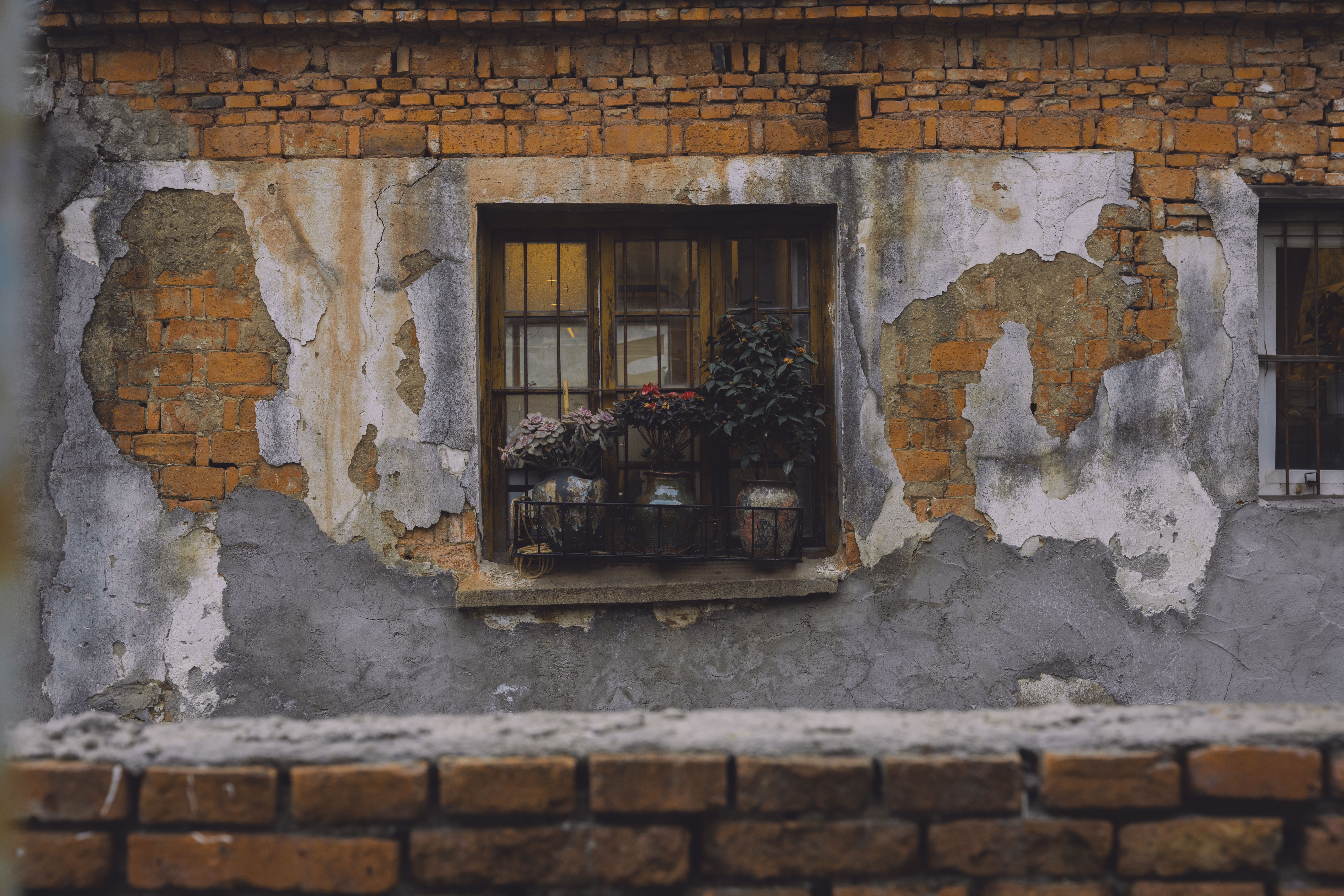 Painters and Decorators in Euston — walls rolled to an even, flat finish