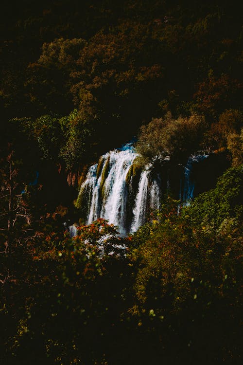 Free Scenic Photo Of Waterfalls Stock Photo