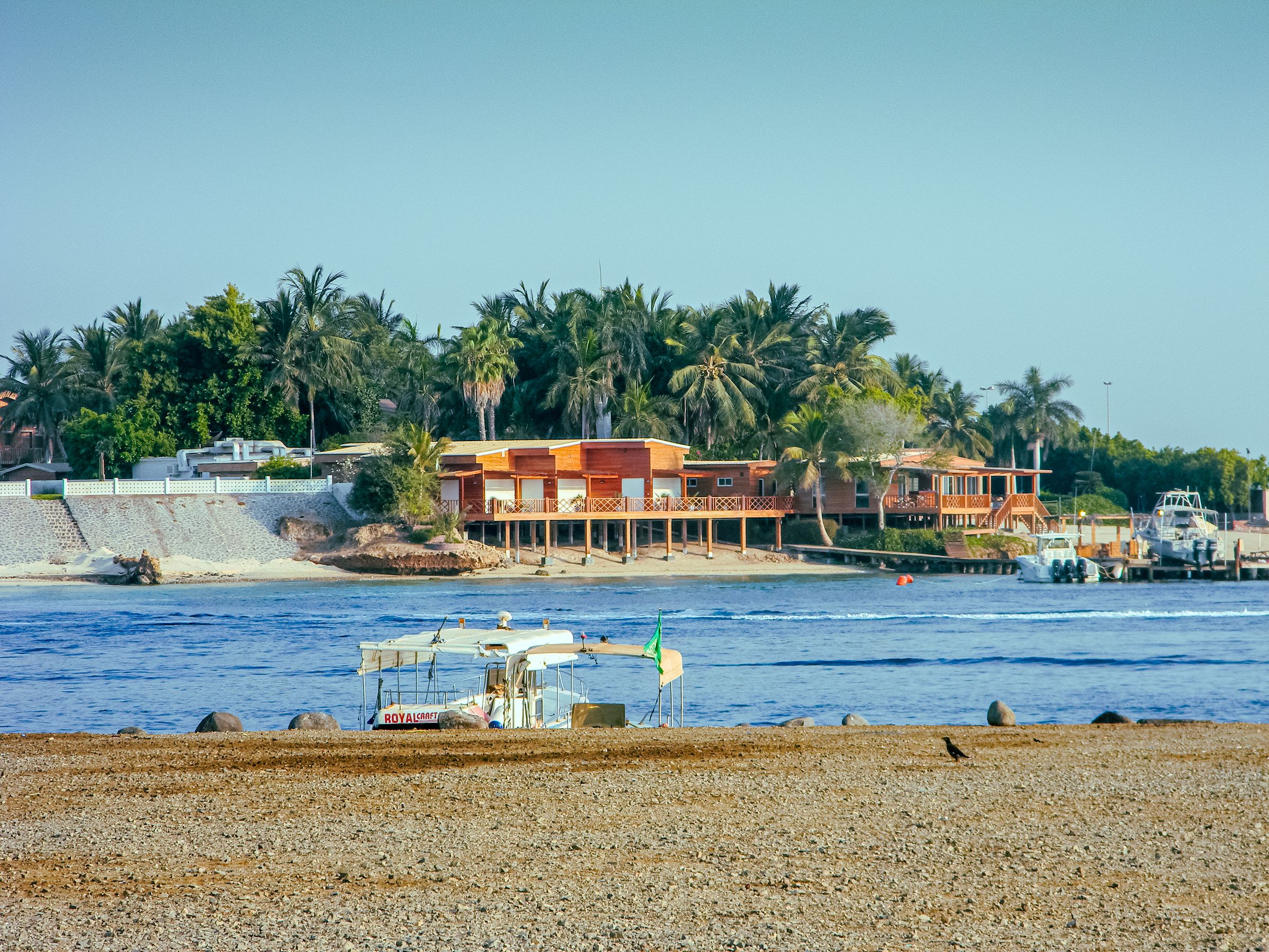 Jeddah Red Sea beachfront and palm-lined coastal setting