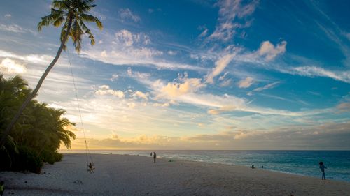 Free Peaceful beach scene at sunset with a swing on a palm tree and people enjoying the view. Stock Photo