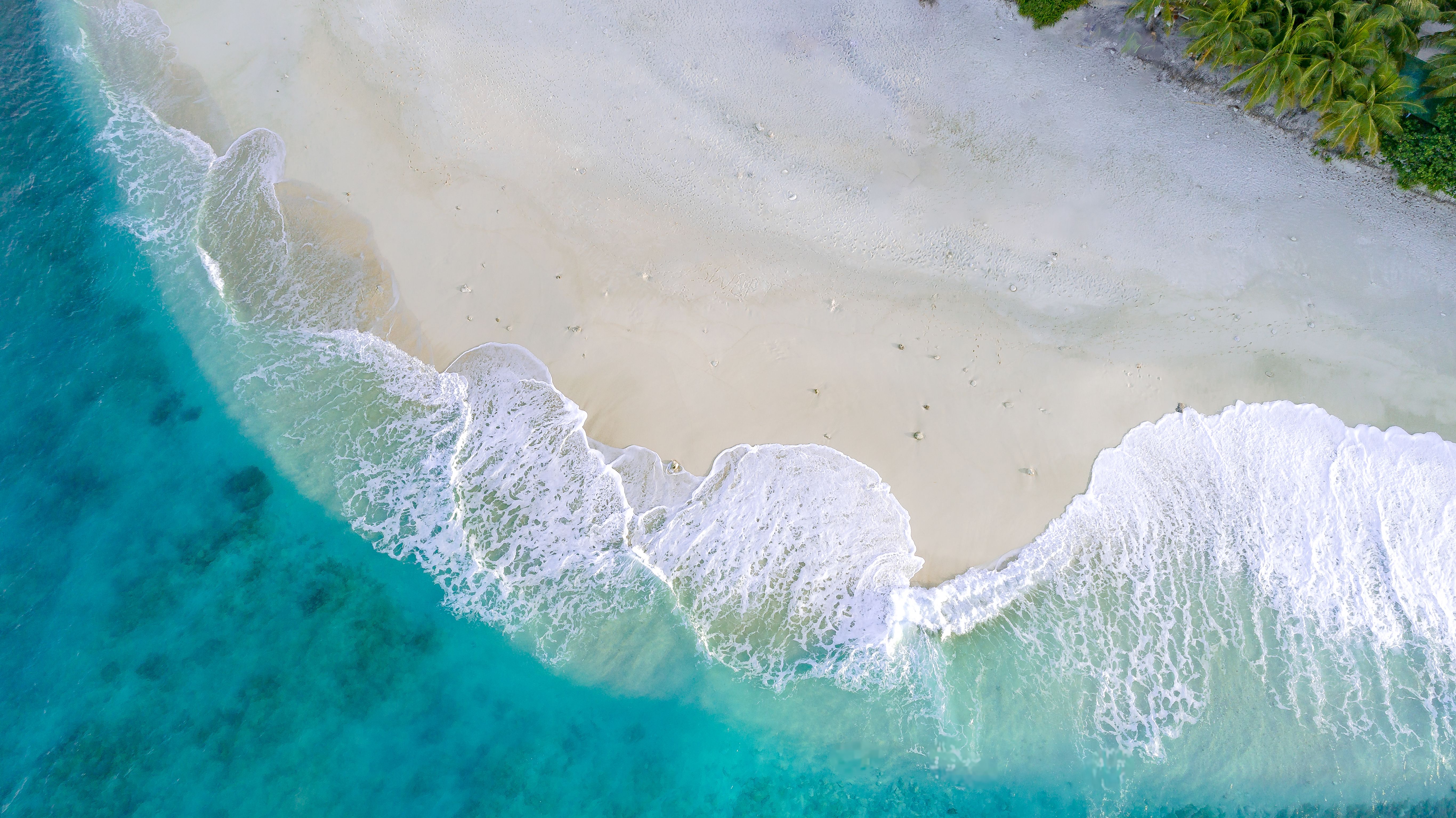 Aerial View of Tropical Beach with Turquoise Waves · Free Stock Photo