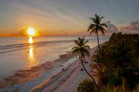 Serene tropical beach at sunset, with palm trees and golden reflections on the ocean.