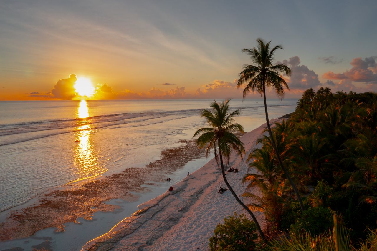 Serene tropical beach at sunset with palm trees and golden reflections across the ocean.