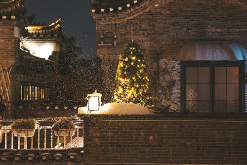 Free Festive Christmas tree with lights on a snowy rooftop during nighttime snowfall. Stock Photo