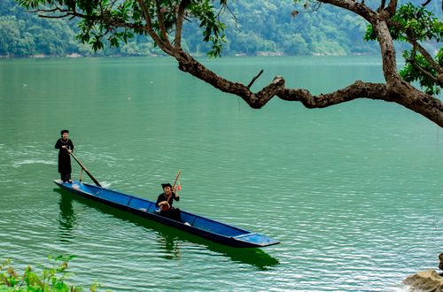 Free Two individuals paddling a wooden boat on a serene green lake, surrounded by nature. Stock Photo