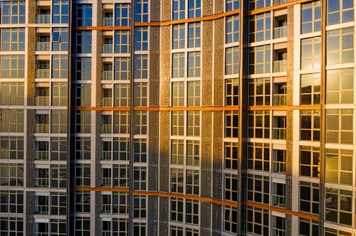 무료 고층 빌딩의 유리창 스톡 사진
