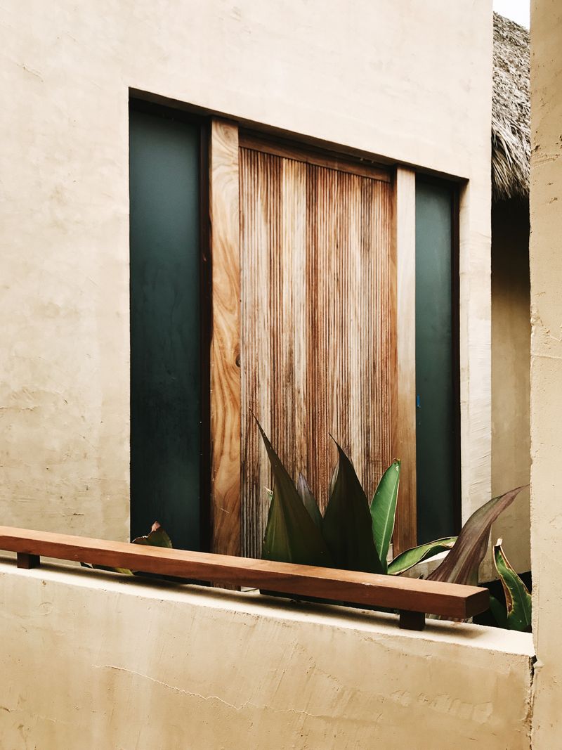 Wooden doorway framed by agave and plaster walls