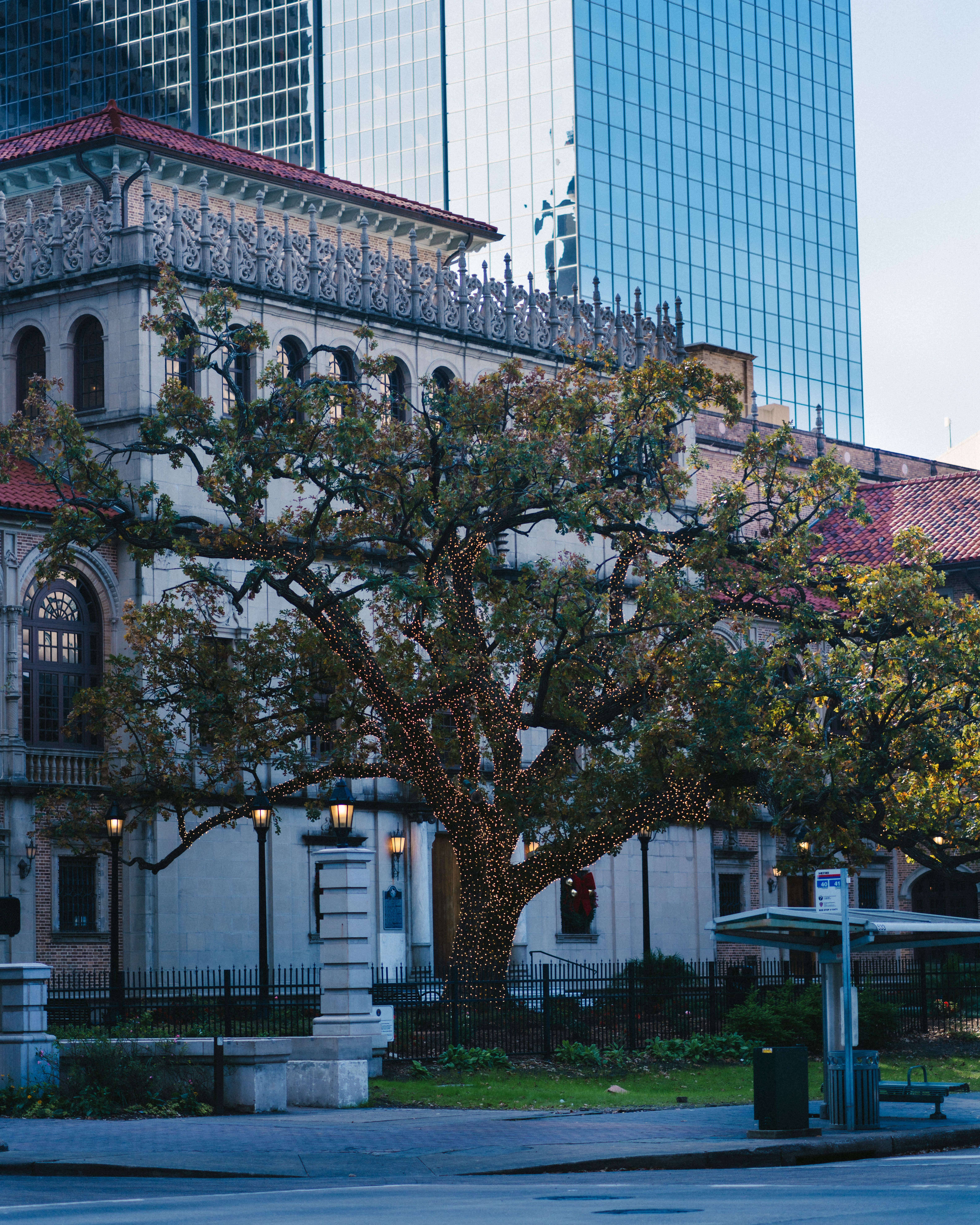 houston central library with festive tree lights