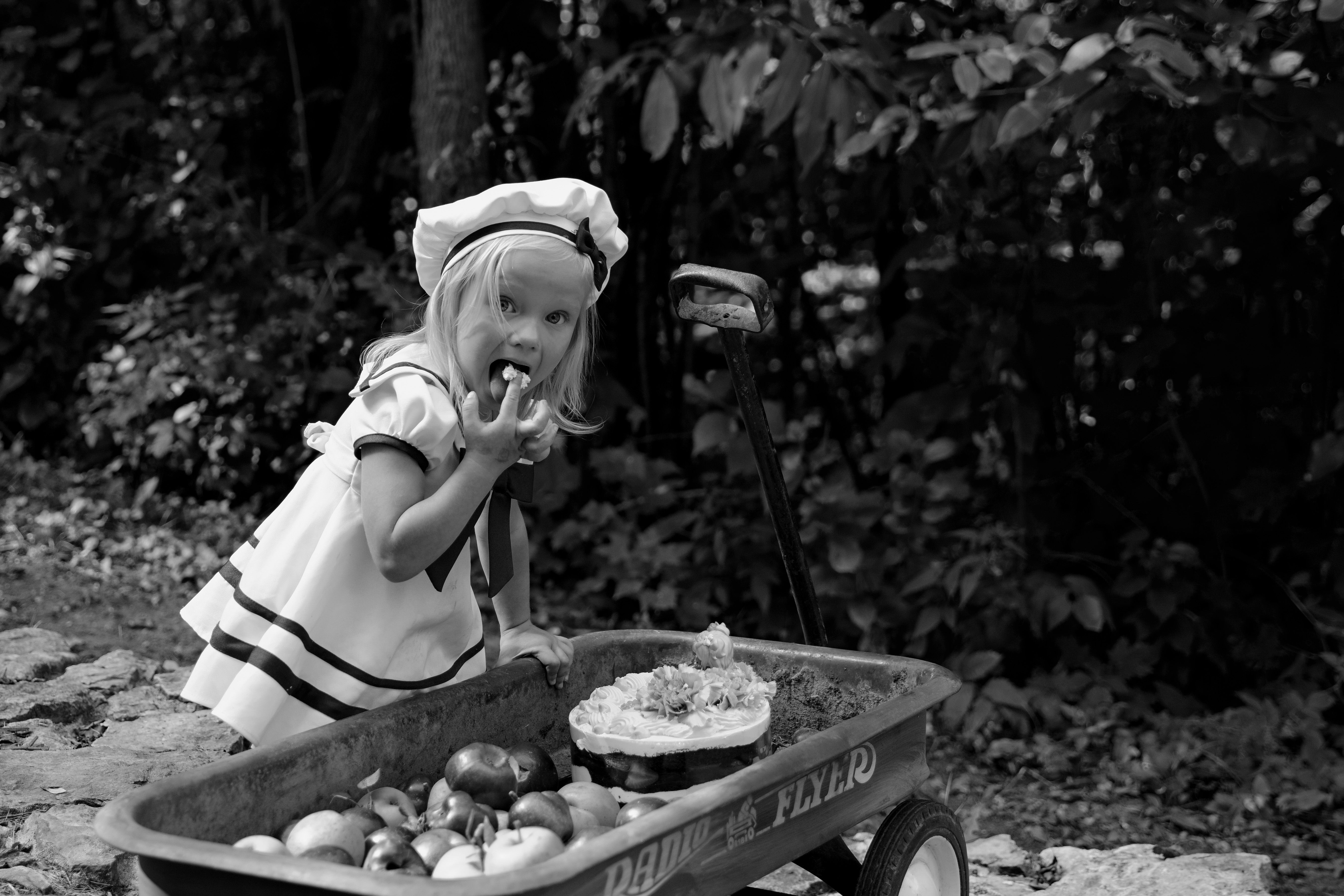 Vegetables Trees Photos Download The Best Free Vegetables Trees Stock