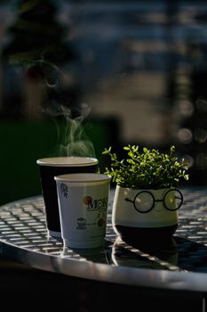 Warm coffee cups and a green plant on a sunlit outdoor table create a cozy scene.