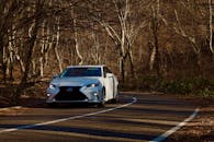 White Car Driving Through Leafless Forest Road
