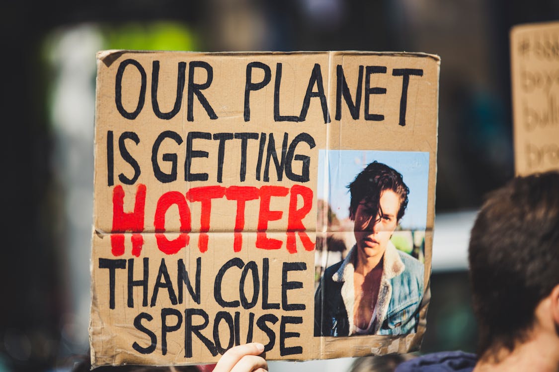 Free stock photo of activist, change, climate