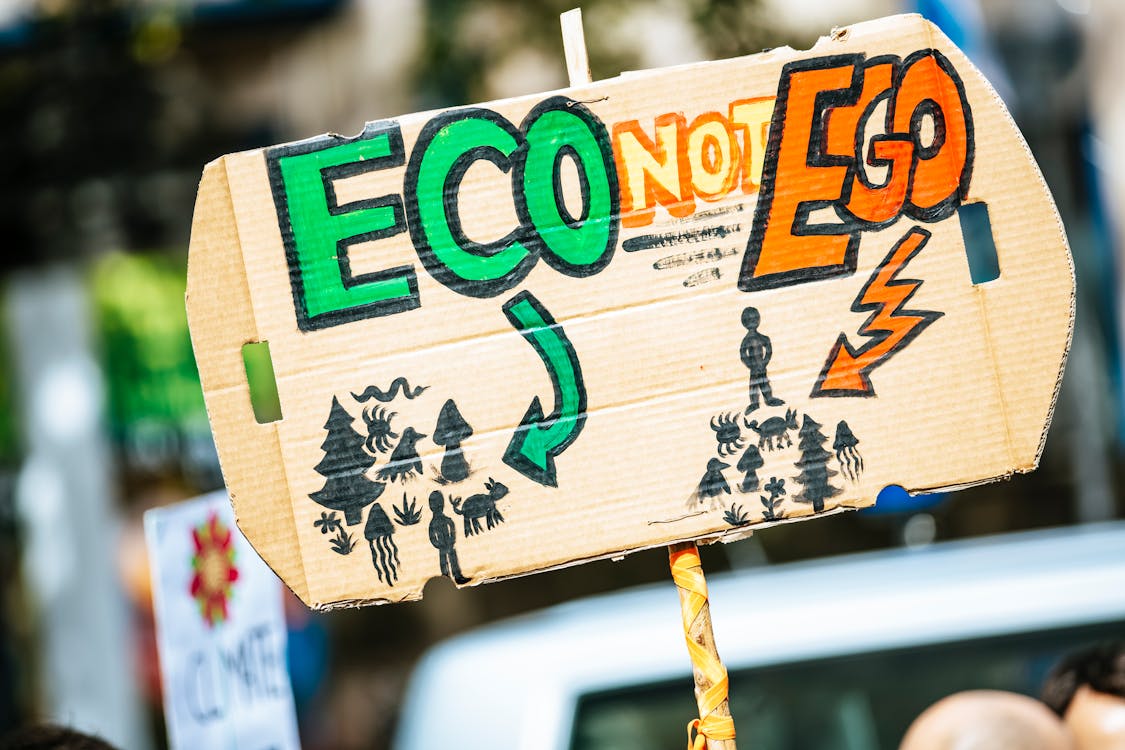 Free stock photo of activist, appeal, climate