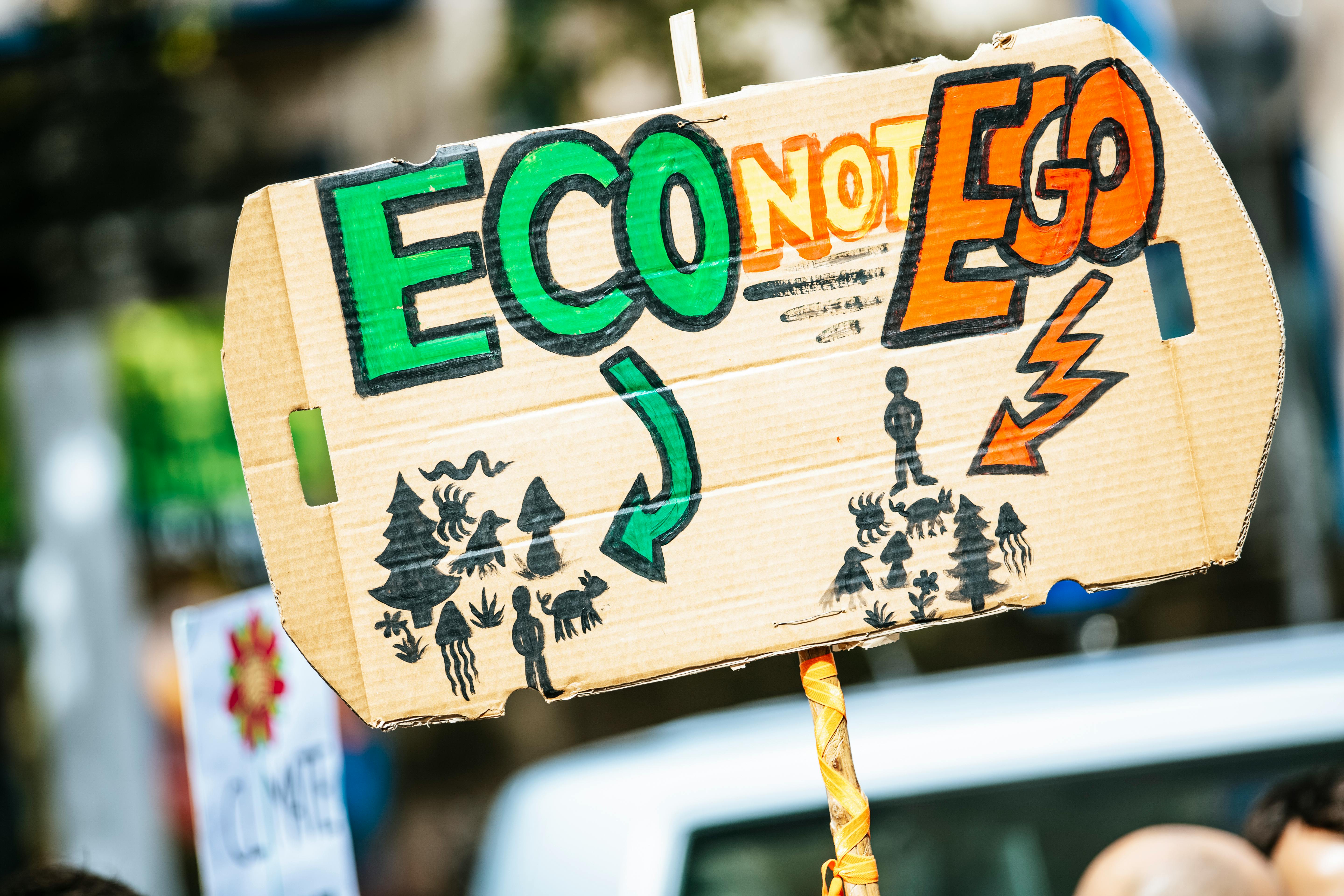 Climate protest sign, reading "eco not ego"