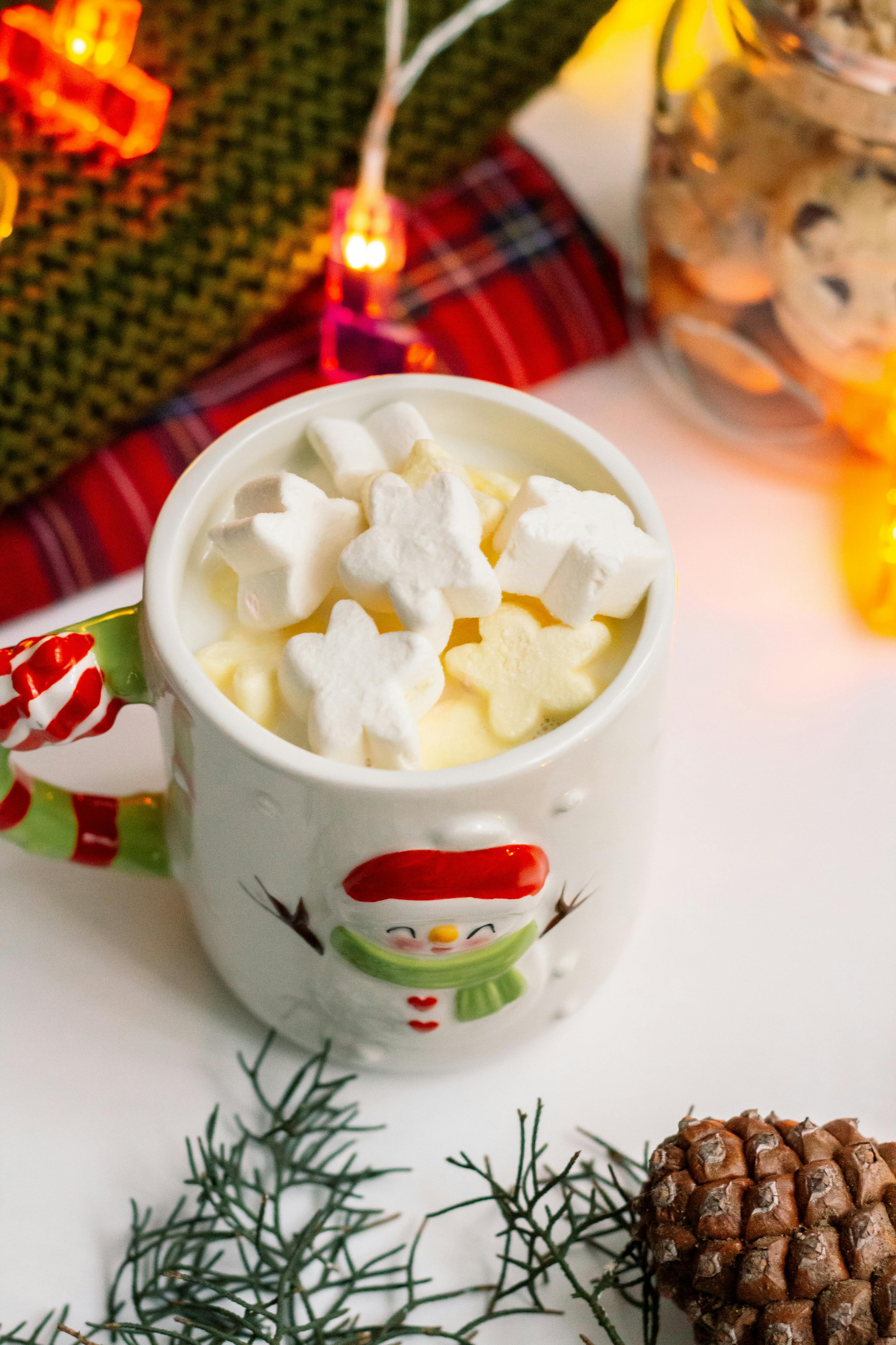 Festive Hot Chocolate with Marshmallow Snowflakes · Free Stock Photo
