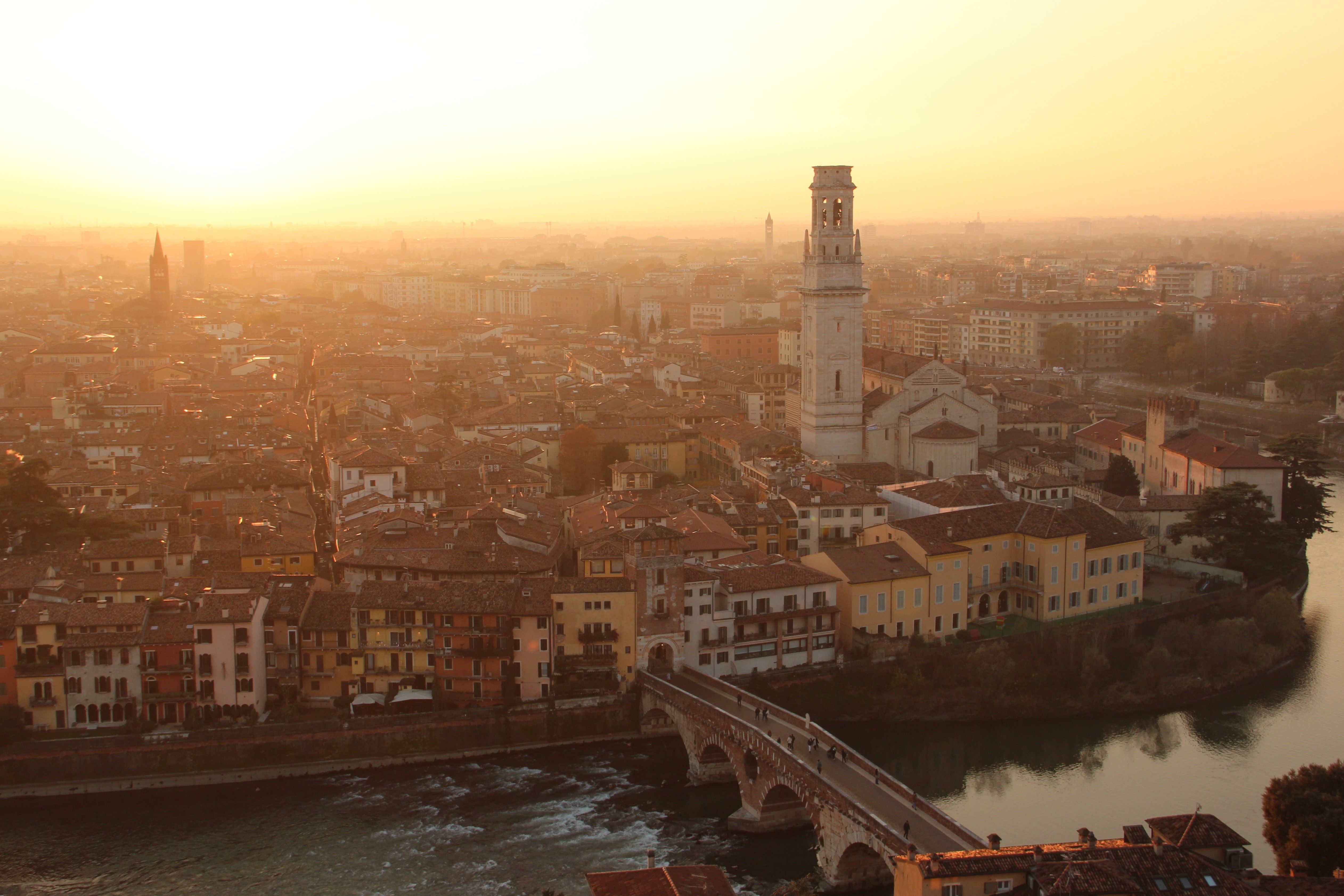 City Guide: Bologna, Italy According To Top Tour Guides — Photo by Anna Ryabenkaya on Pexels