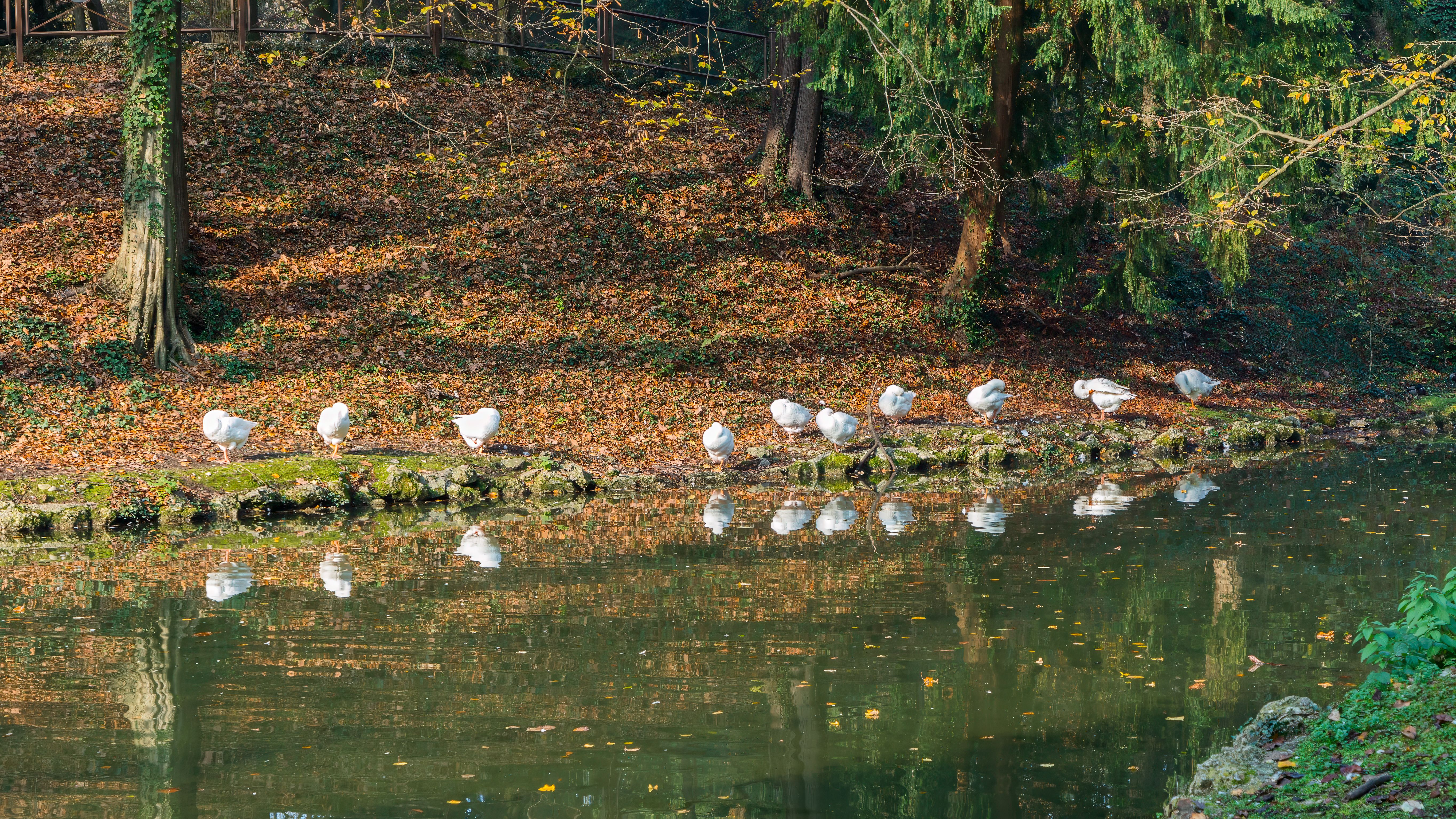 Parco di Monza