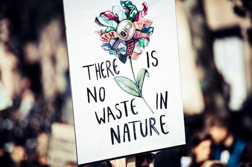 Kostnadsfri bild av det finns inget avfall i naturen, illustration, konceptuell