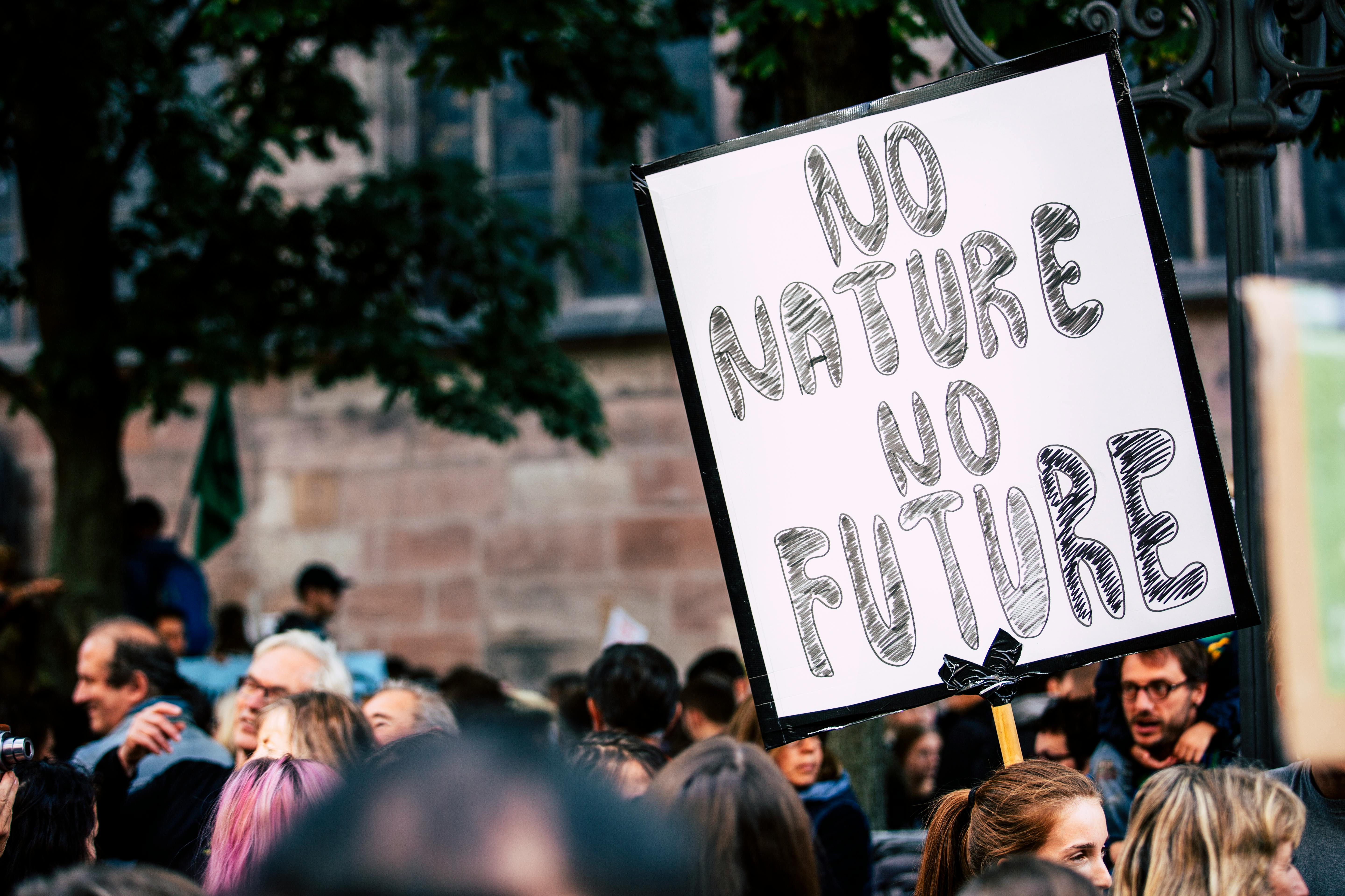 Climate protesters holding sign "no nature, no future"