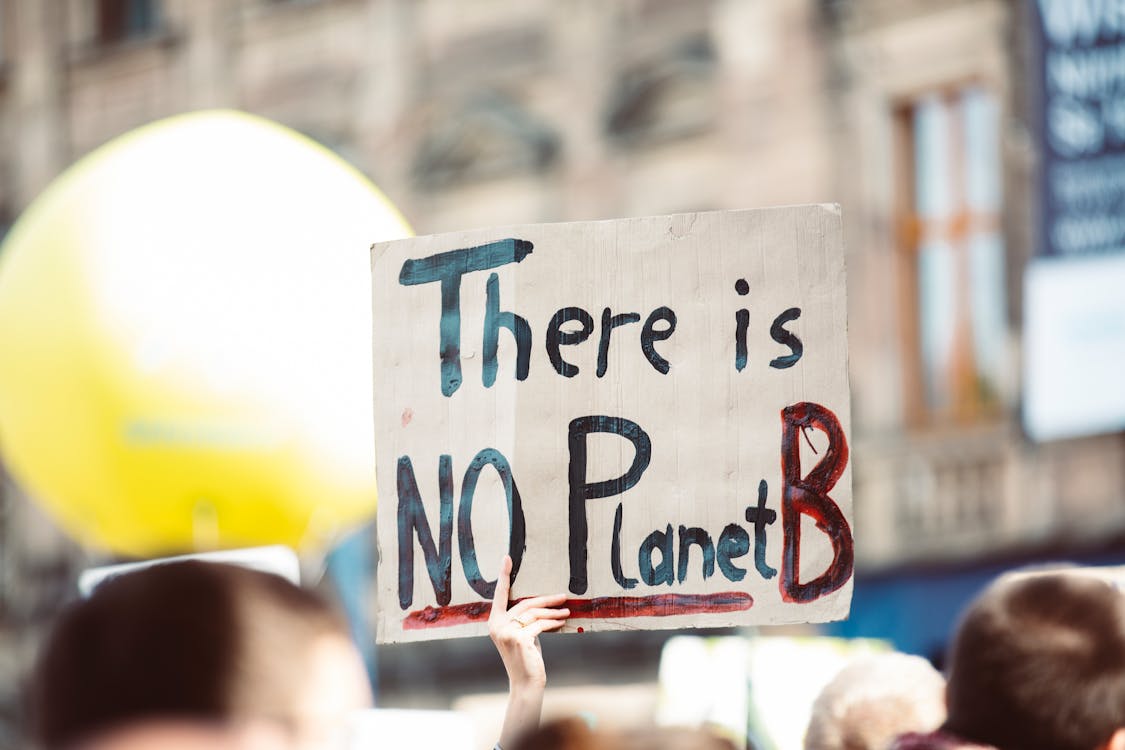 Amidst a crowd of people, there is one hand raising a cardboard message saying "There is no Planet B"
