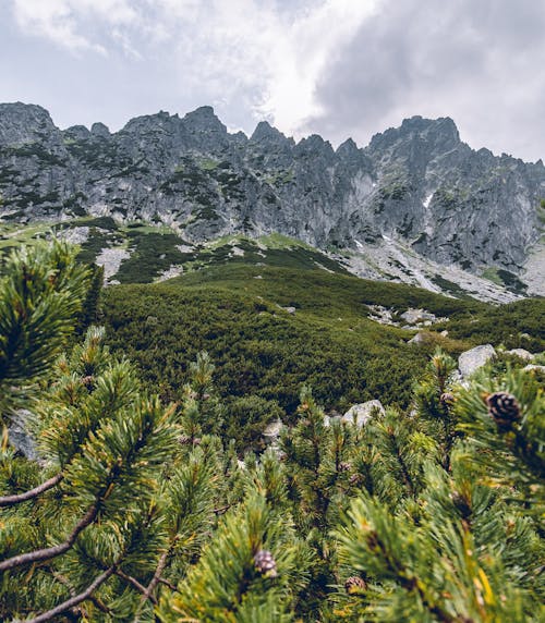 Montagna Rocciosa