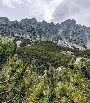 高塔特拉山脉的锯齿状山峰景色令人惊叹，四周绿叶郁郁葱葱