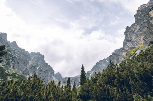 Gratis arkivbilde med høye tatra, landskap, natur