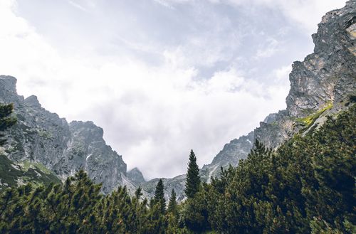 Free Breathtaking view of the High Tatras mountains with lush greenery and rocky peaks. Stock Photo