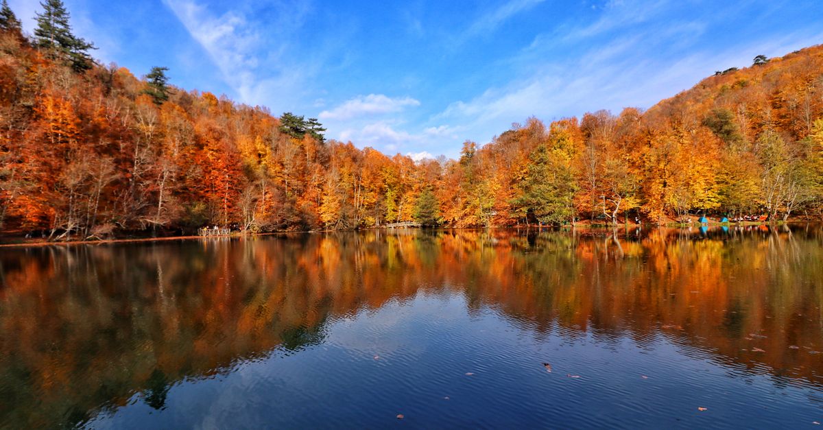 Fall Forest Reflection Vibrant Autumn Forest Reflection in Lake · Free Stock Photo