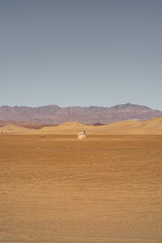 广阔的沙质沙漠，天空晴朗，背景遥远，结构小巧