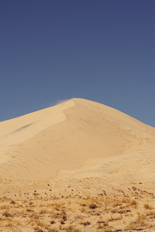 Free Desert Sand Dune Stock Photo