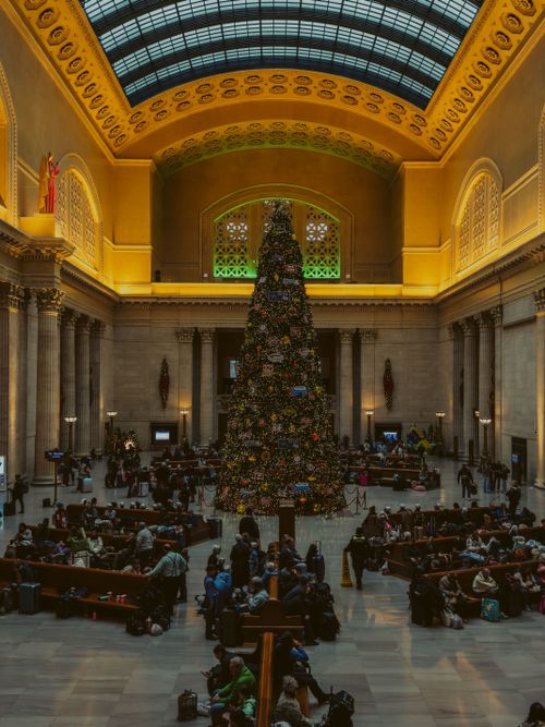 Free Festive Christmas tree in a grand hall, filled with people, highlights holiday spirit. Stock Photo