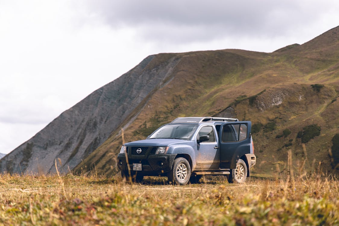 What You Need To Know About The New Nissan Sports Vehicles In 2022 What You Need To Know About The New Nissan Sports Vehicles In 2022
