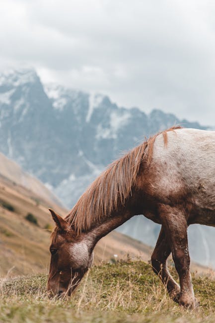 Transforming Guilt Into Gratitude For Lessons Learned. 15 The Impact Of Gratitude On Relationships And Personal Growth