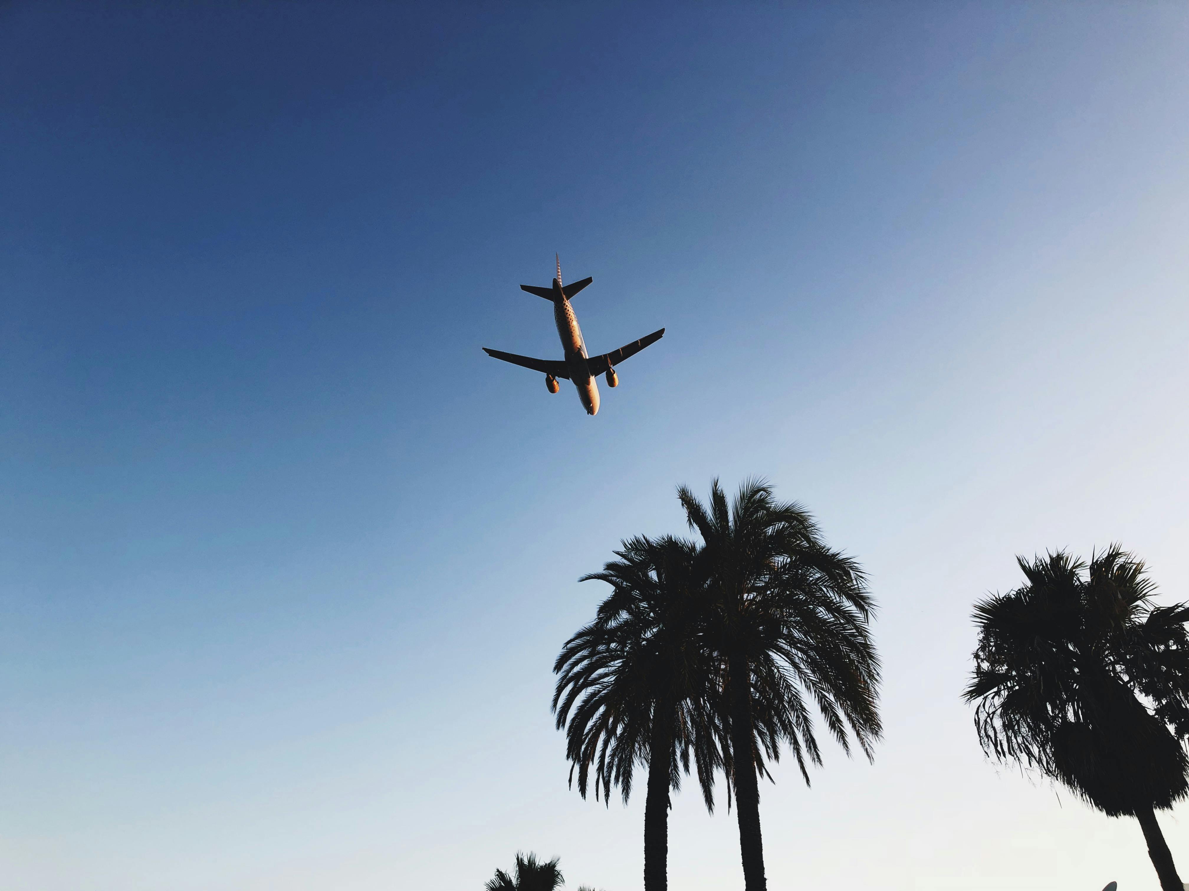 Silhouette of an airplane flying over palm trees in Ibiza during dusk, with a clear blue sky.