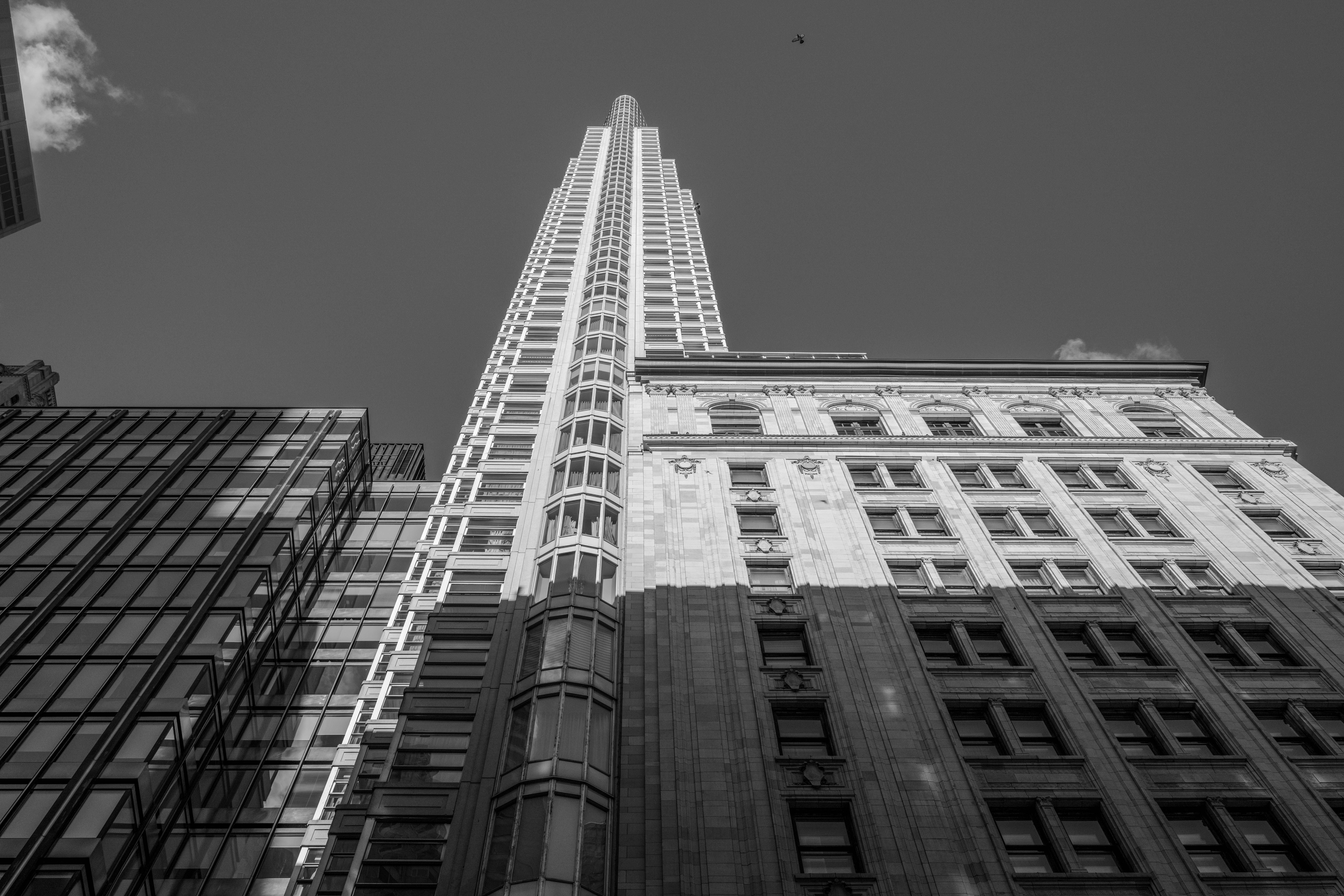 Black and White Skyscraper Architecture View · Free Stock Photo