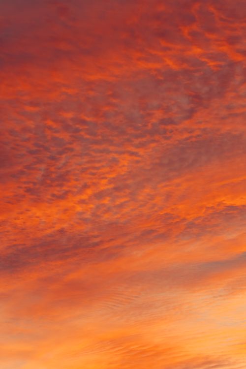 Free Stunning orange sunset sky in Akumal, Quintana Roo, Mexico. Perfect for nature lovers and wallpaper enthusiasts. Stock Photo