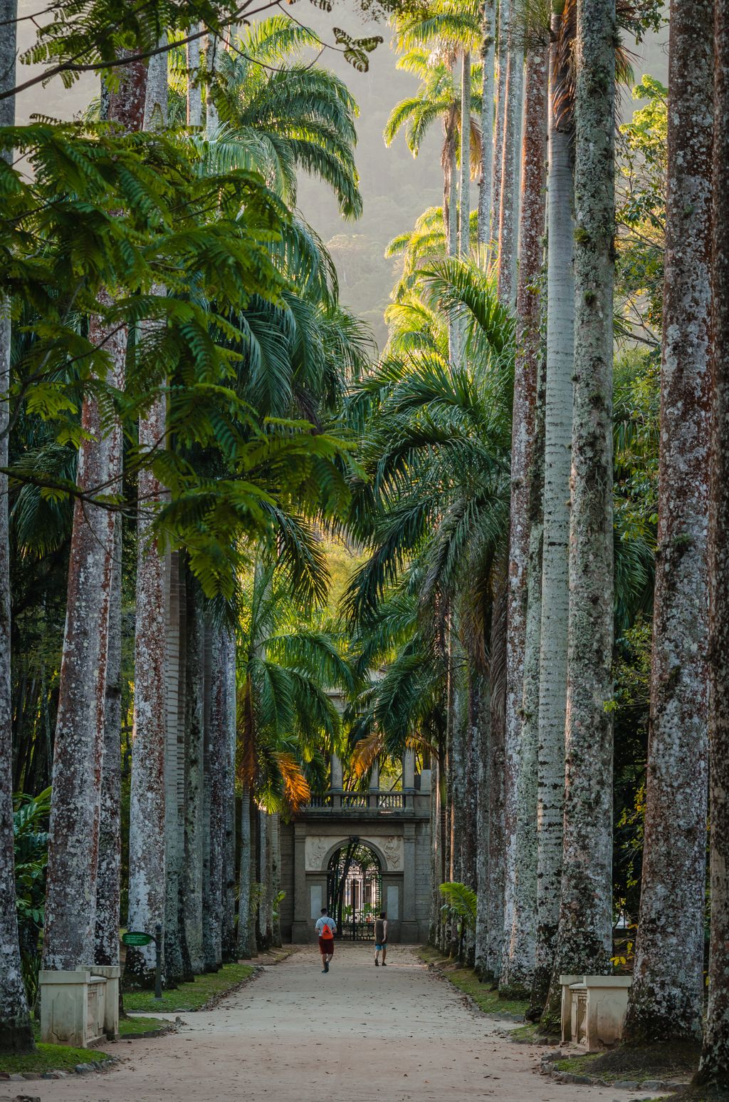 Vista de Jardim Botânico do Rio de Janeiro