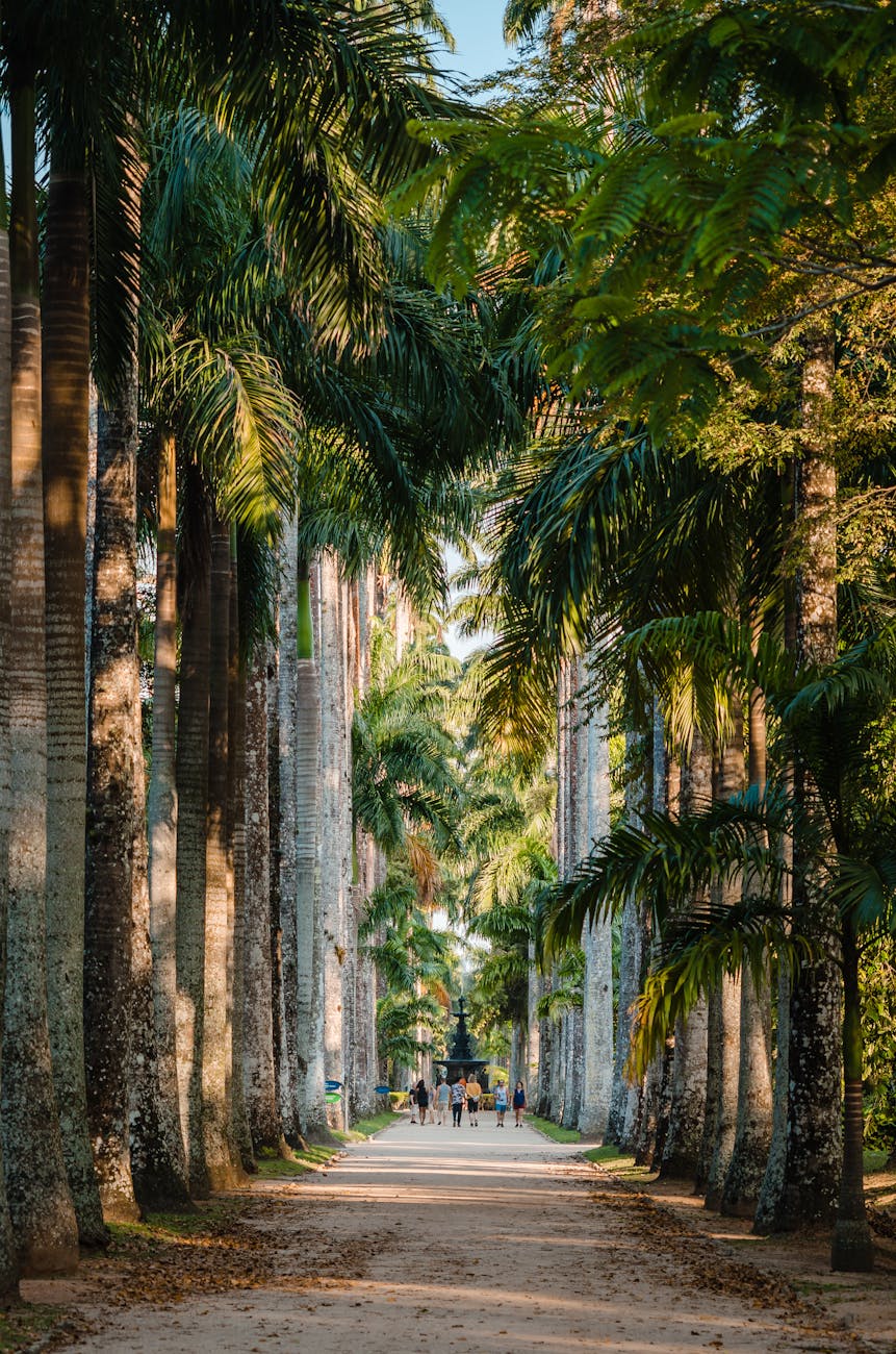 Rio Botanical Garden & Parque Lage