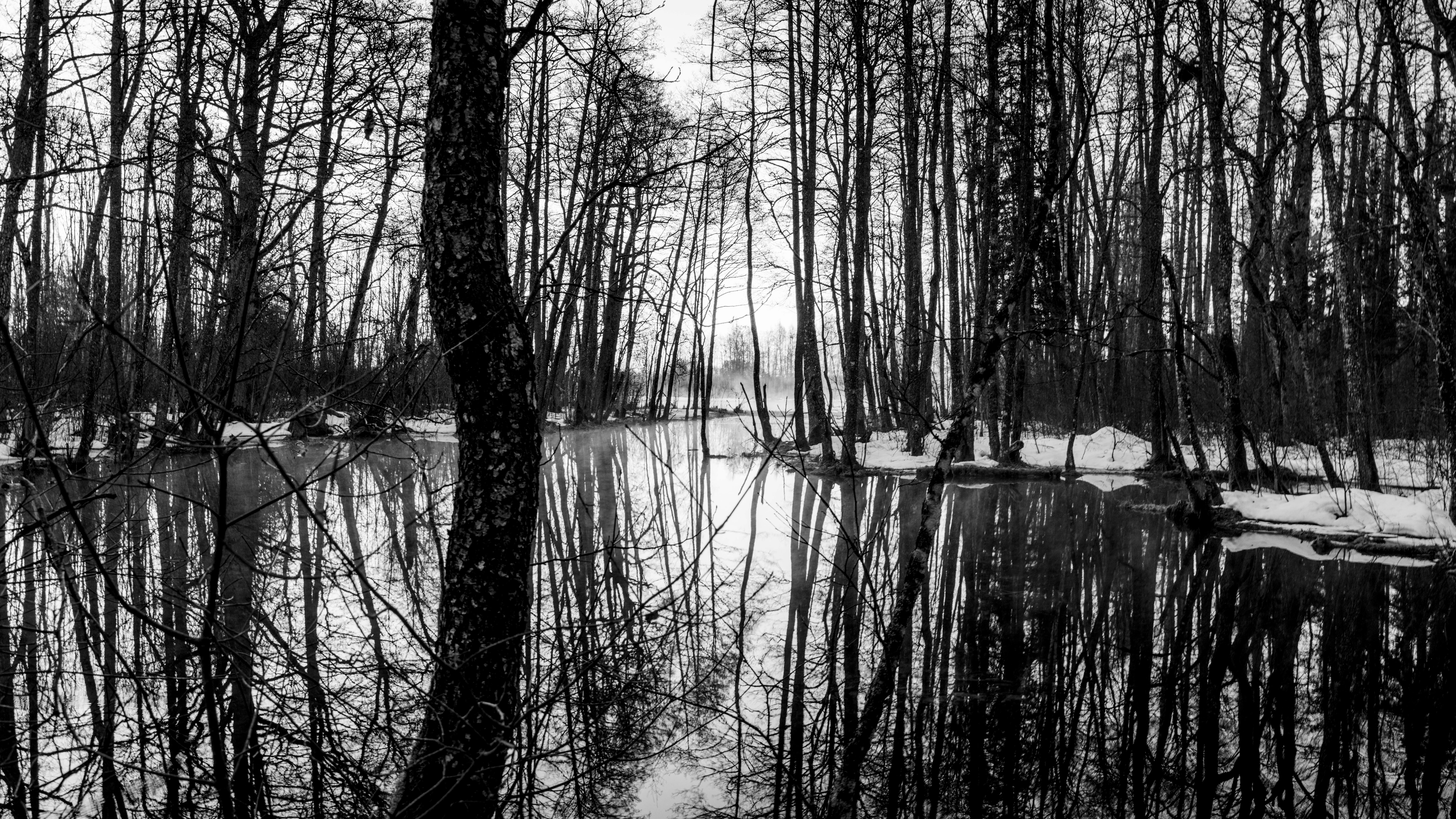 Black and white photo of bare trees reflected in a tranquil lake during winter.