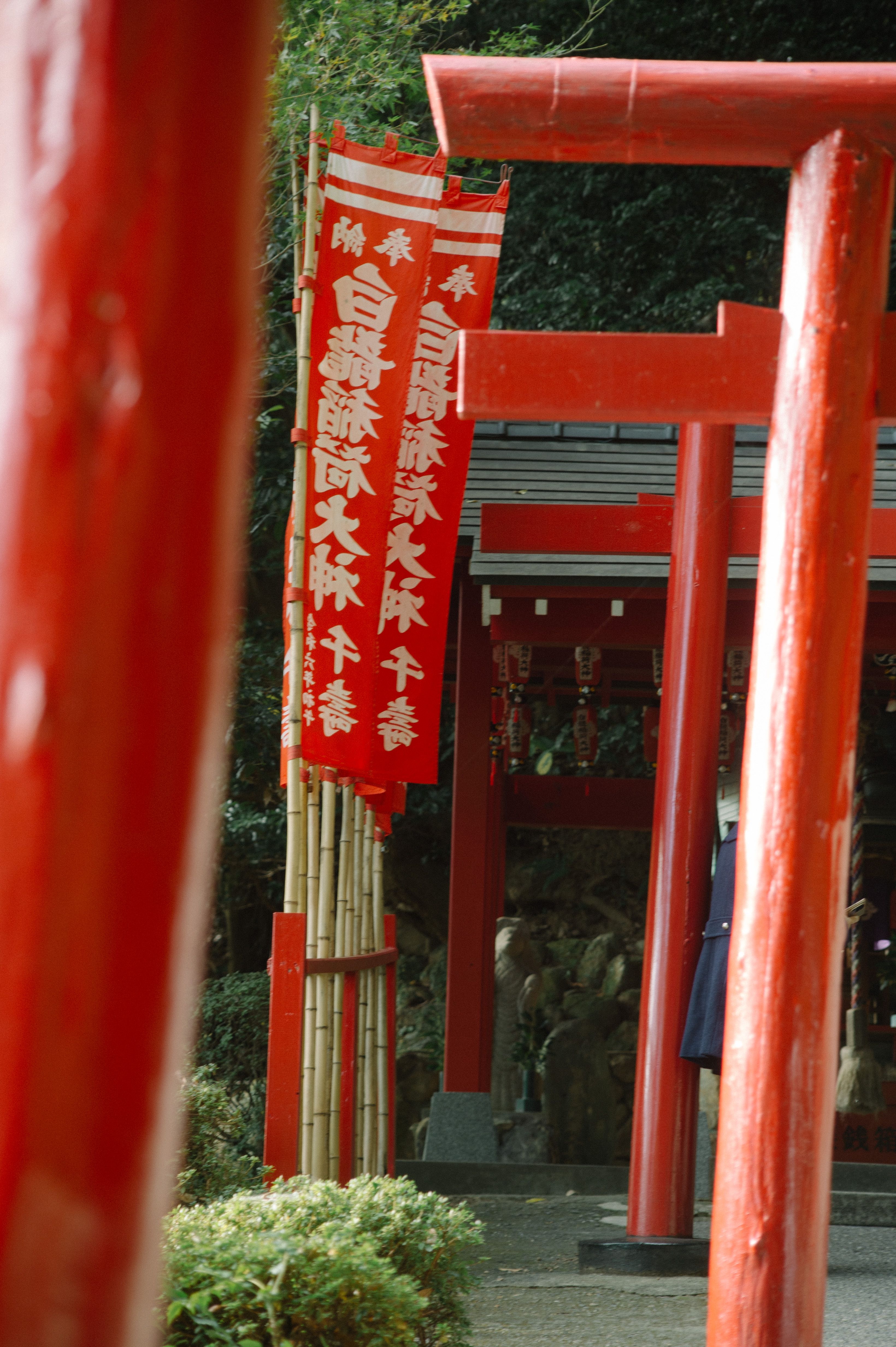 Traditional Japanese Torii Gate with Red Banners · Free Stock Photo