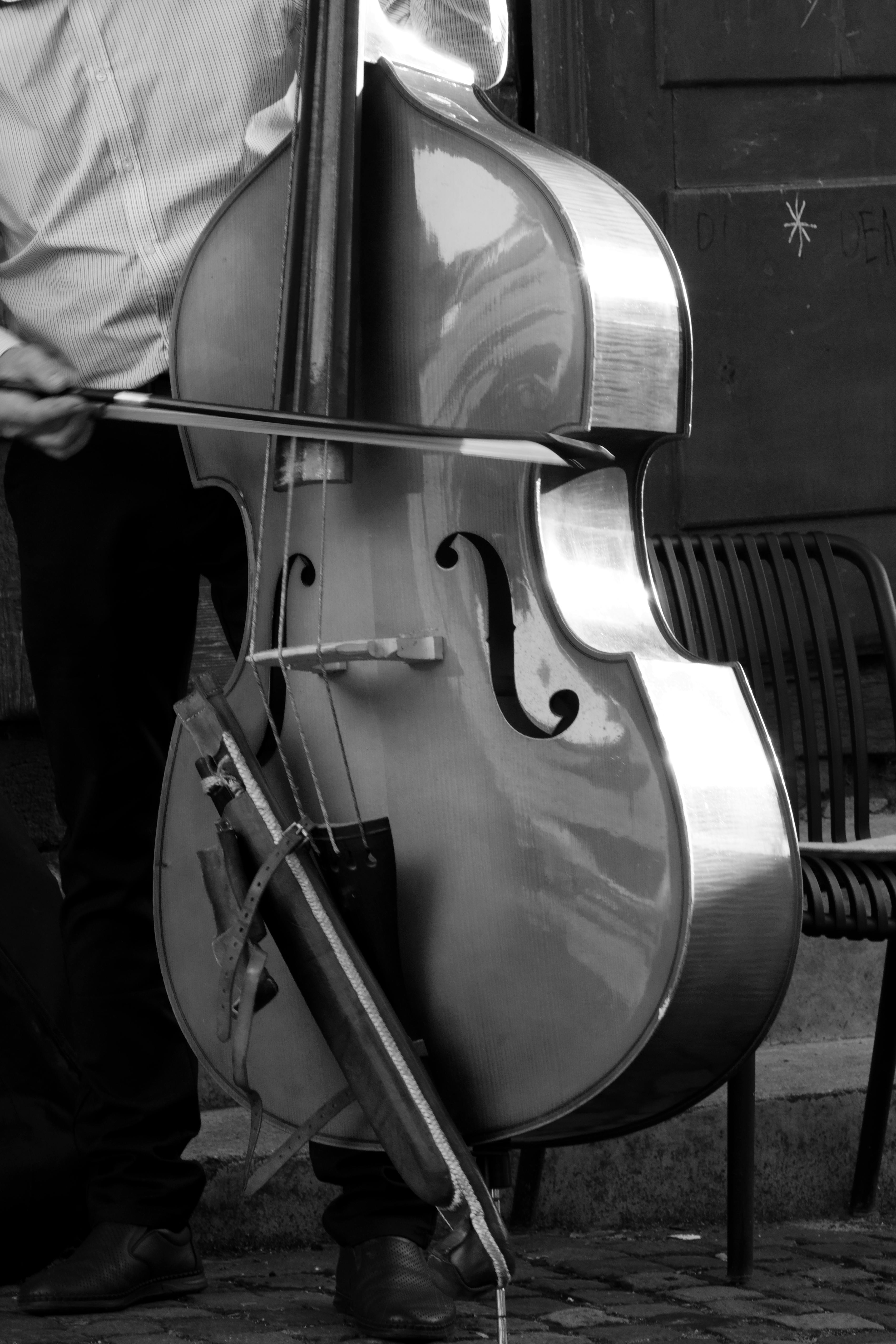 Bass Slap It By D Oppenheim