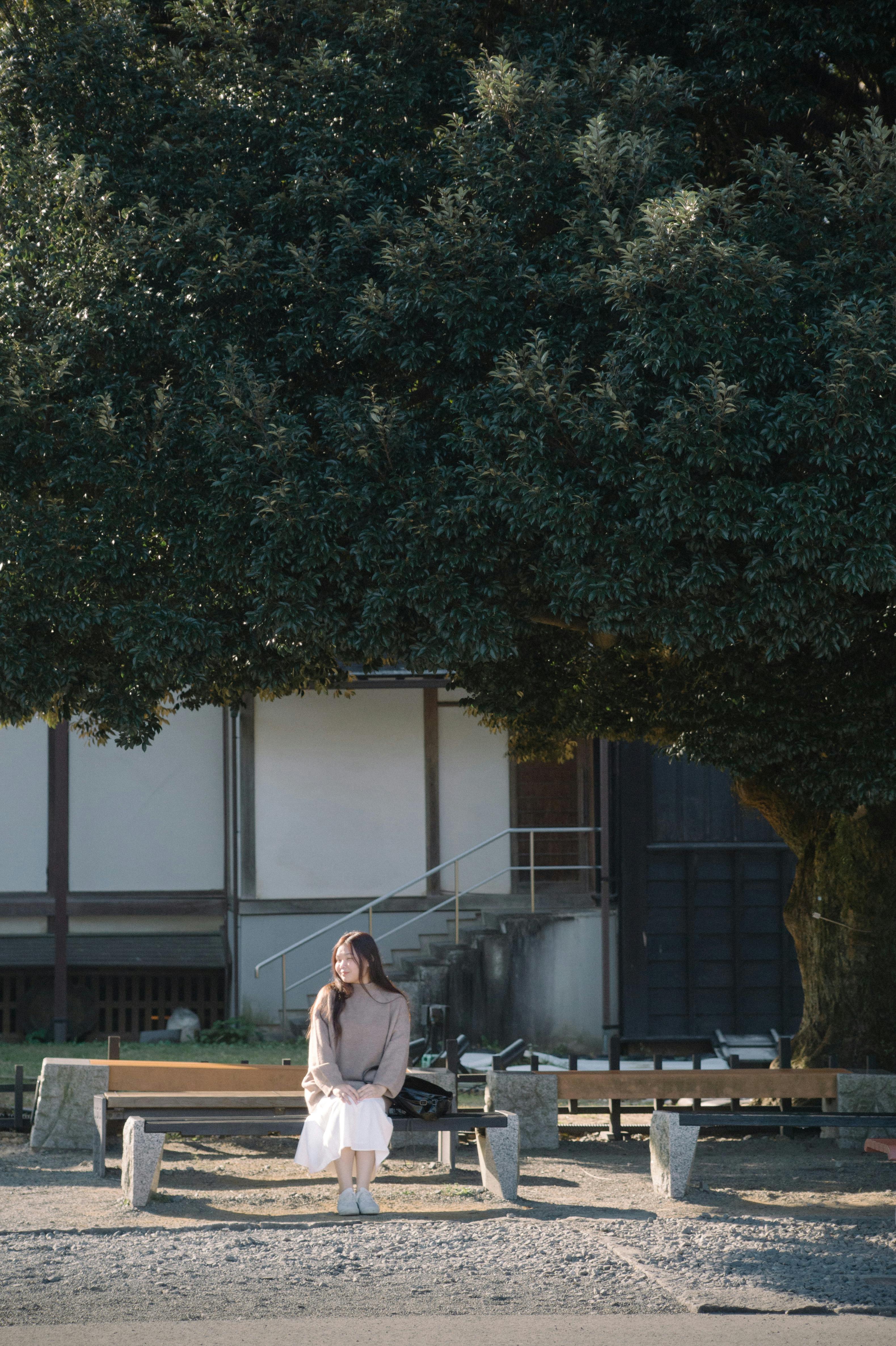 Serene scene of a woman sitting on a bench under a large tree in a traditional Japanese garden.