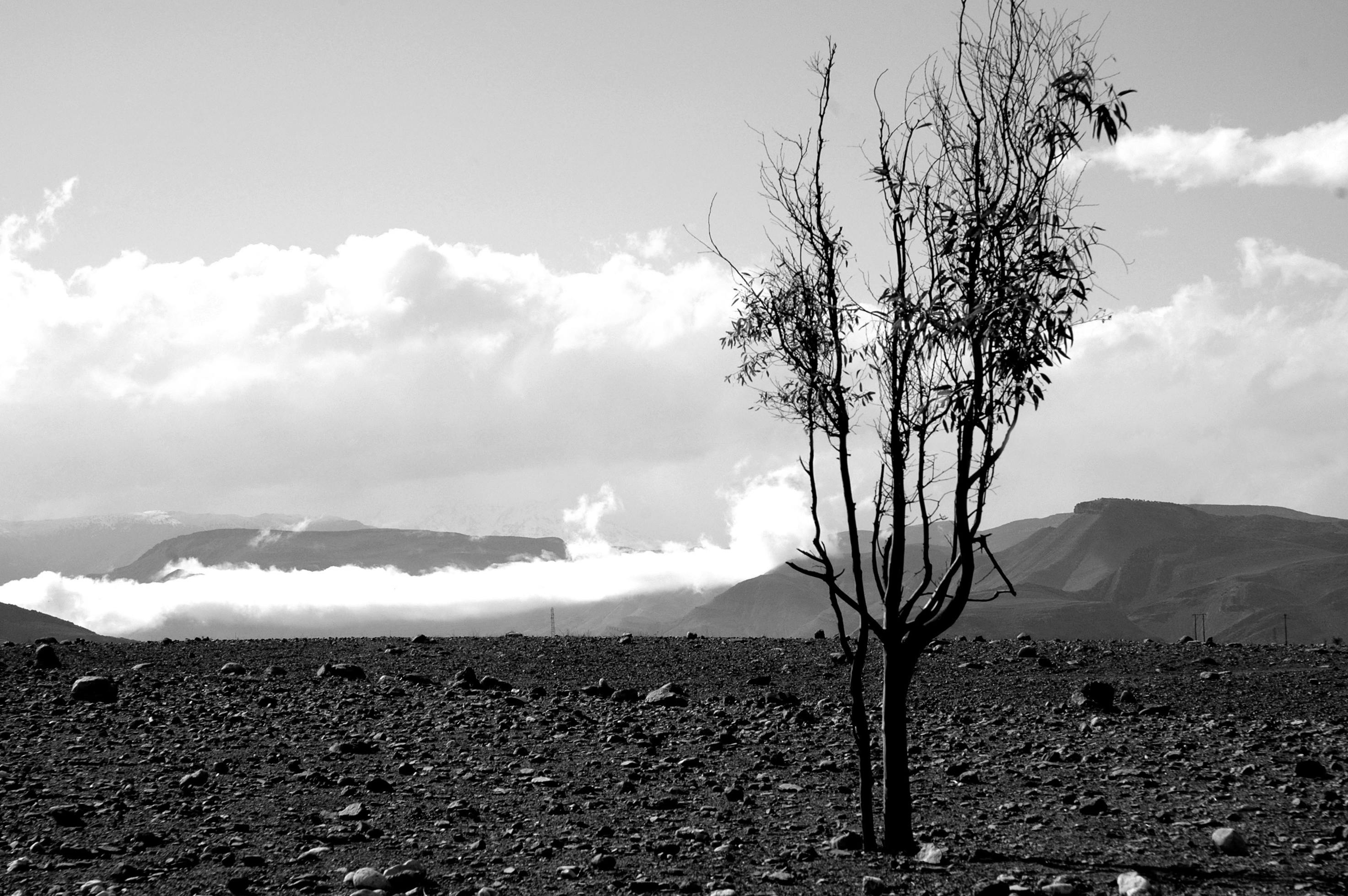 Souss Massa National Park