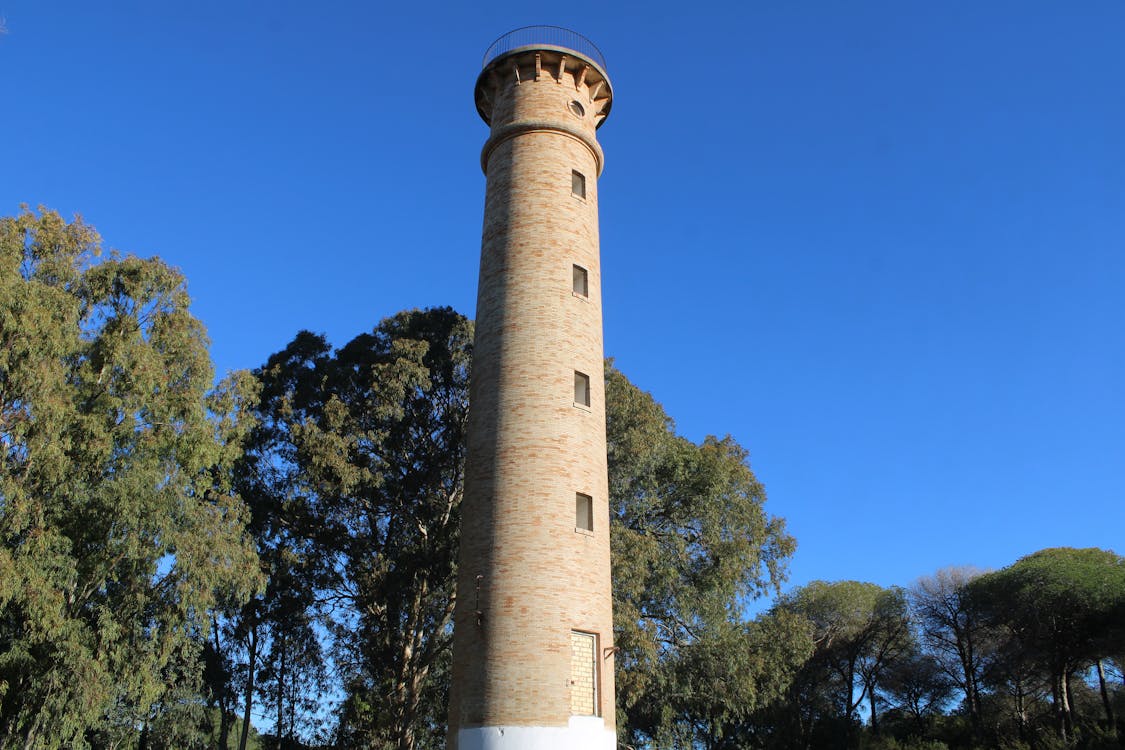 un faro rodeado de pinares | fotografía 5