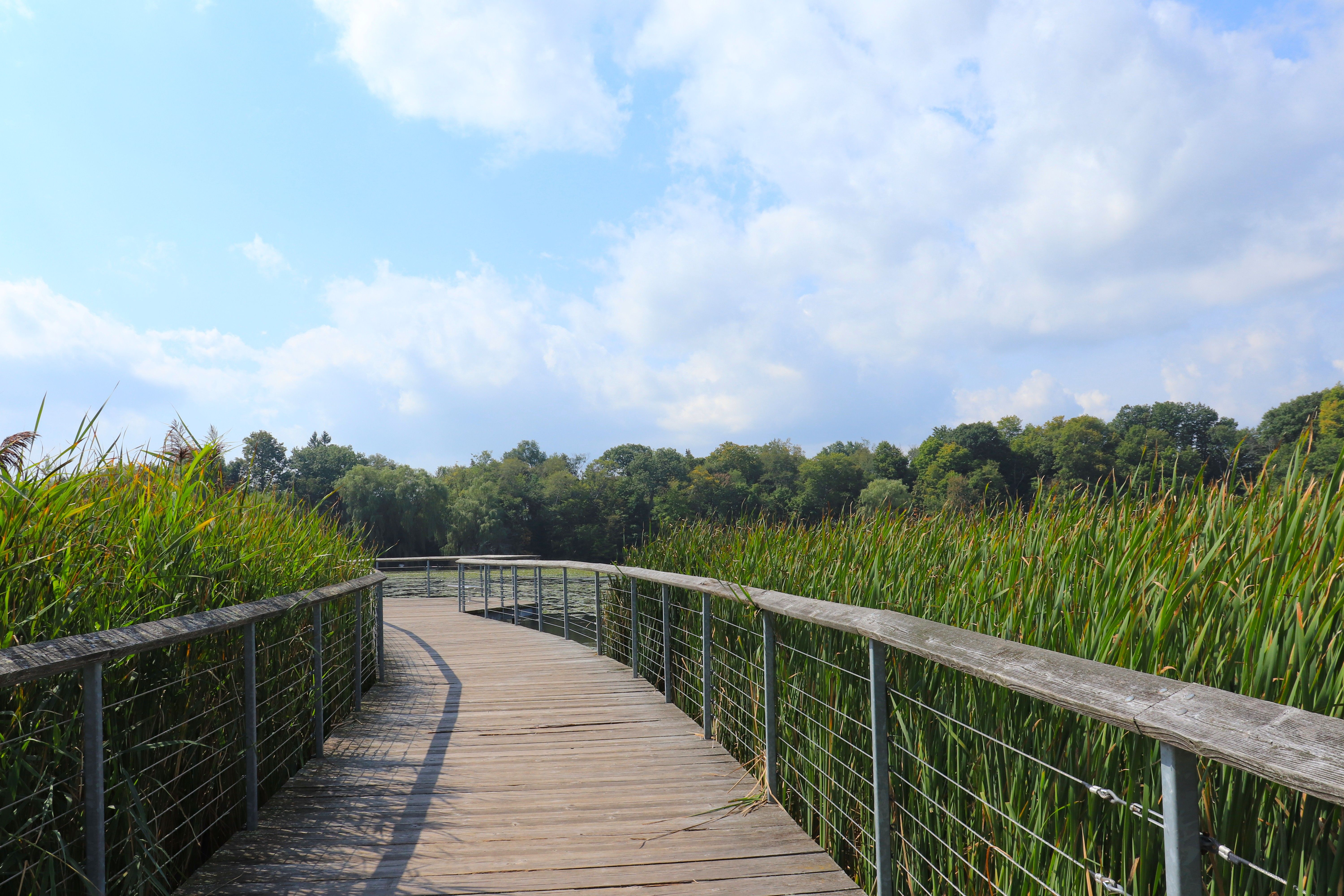 Scenic view of the Rouge River valley from the Vista Trail in Rouge National Urban Park